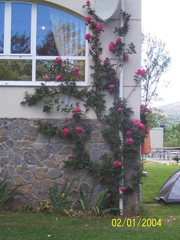 Hotel La Mora Villaseca de Laciana ภายนอก รูปภาพ